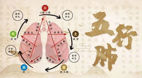 80%“大白肺”，中医出手成功逆转！市二院中西医结合治疗 助七旬“白肺”患者顺利脱险1252.png